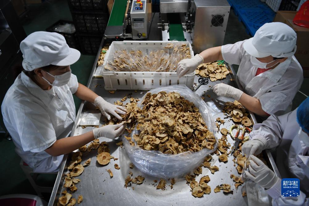 心博天下